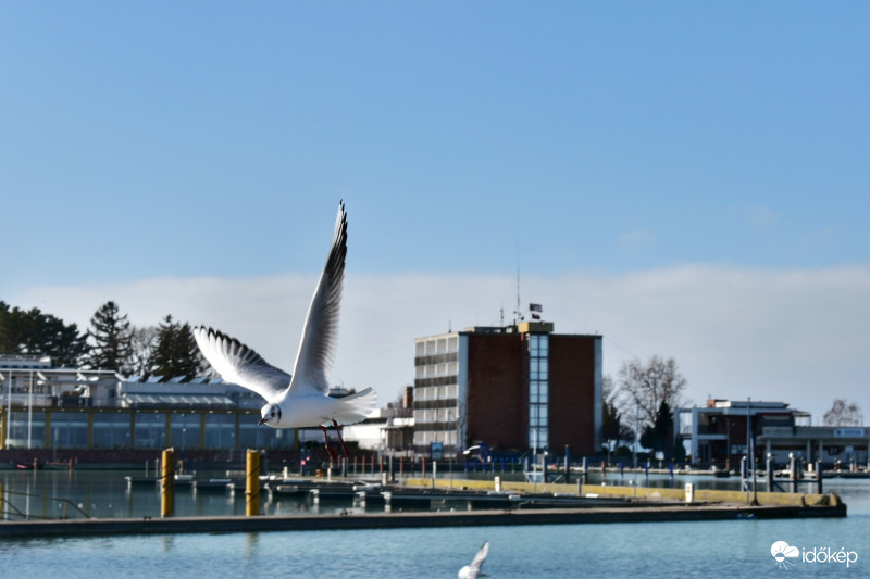 Balaton. 