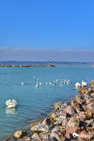 Kikötő 
