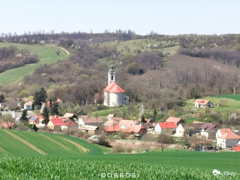 Gyönyörű. 
