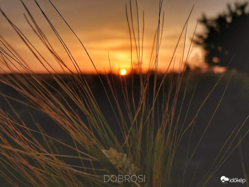 Jó reggelt. 