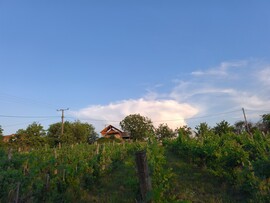 Siófok