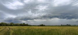 Martfű