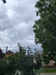 Bölcske