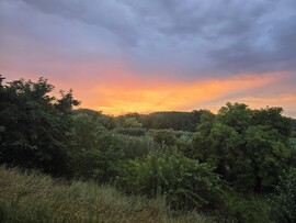 Gyomaendrőd