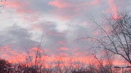 Budapest XI.ker - Albertfalva