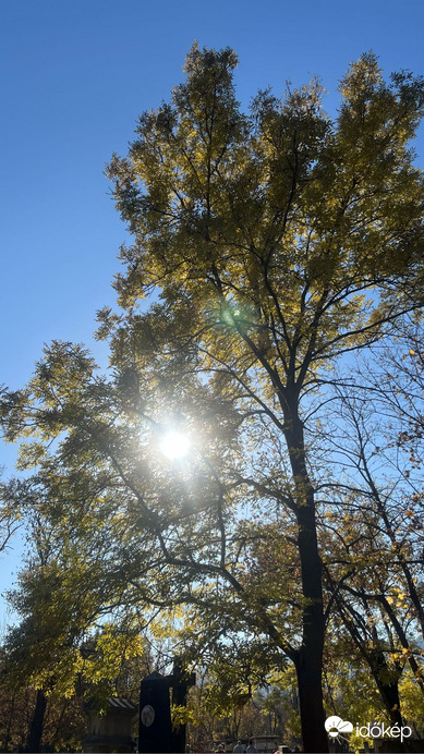 Budapest XI.ker - Albertfalva