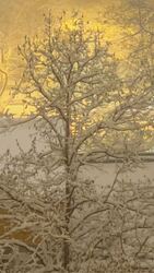 Budapest XI.ker - Albertfalva