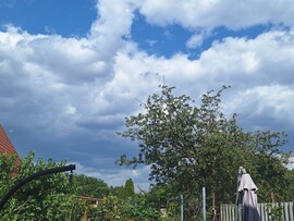 Dunaharaszti
