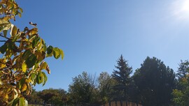 Kozármisleny