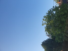 Kozármisleny