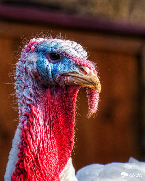 Gyertek ki a napra :)