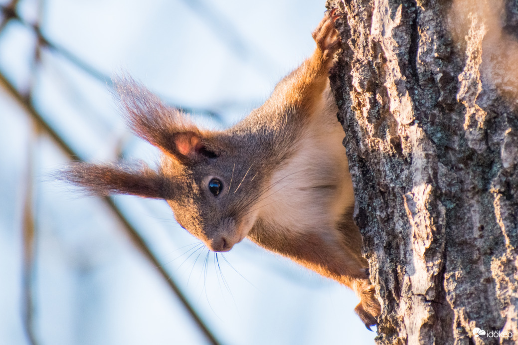 Kukucs! Csak benéztem szép hétvégét kívánni, és már szaladok is tovább!