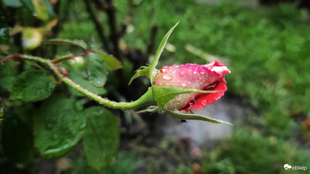És csak esik meg esik az eső