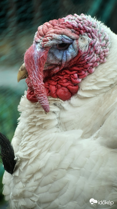 Brrr! Ma is fúj a szél! S ráadásul az ég is borús !