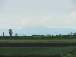 Gutin-tető