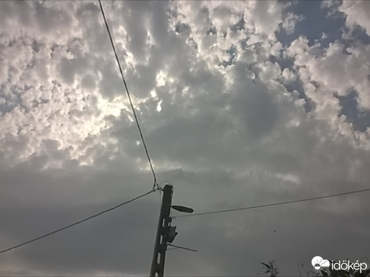 Kazár
