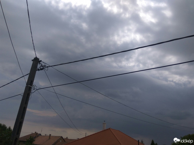 Dány