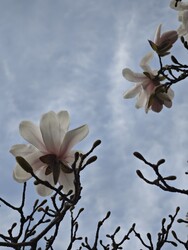 Budapest XII.ker - Krisztinaváros