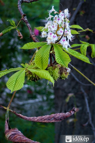 Évszakok találkozása