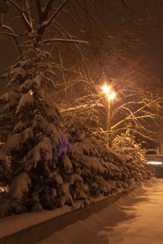 Veszprém és a tavasz