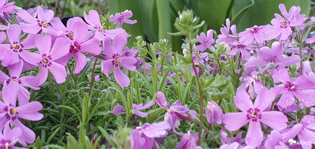 Csodákban gazdag hétvégét! ❤