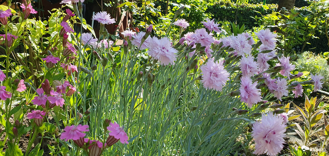 A mai nap csodaszámba megy! ❤