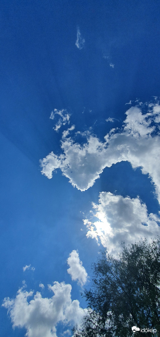 Szabó Lőrinc Mert sehol se vagy