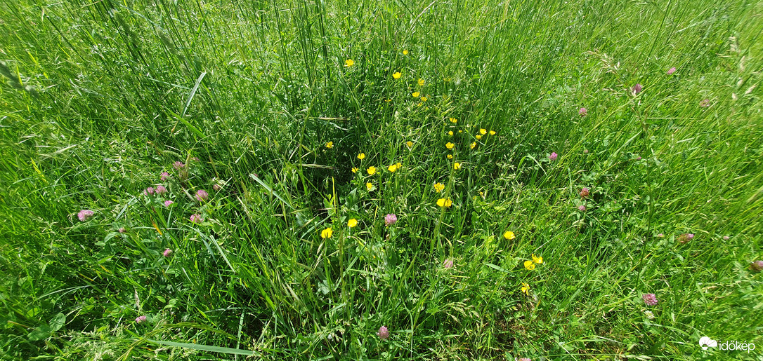 Csodaszép a természet ❤️