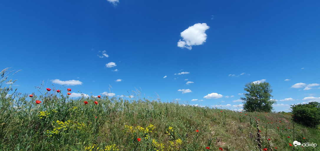 Májusi csodás természet! ❤️