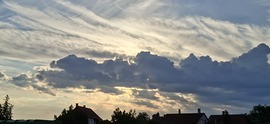 Napfelkelte