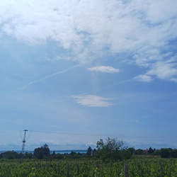 Balatonfüred