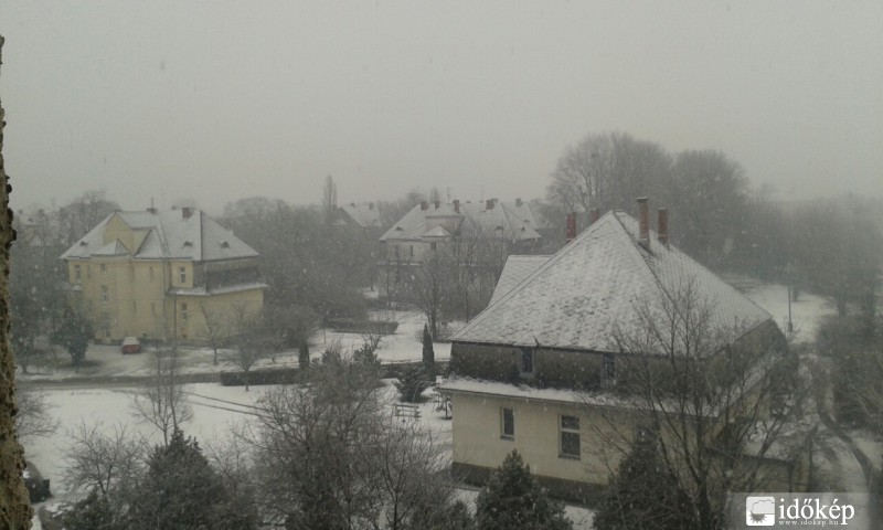 Levél