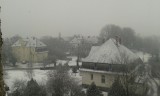 Levél