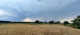 Nagykörű