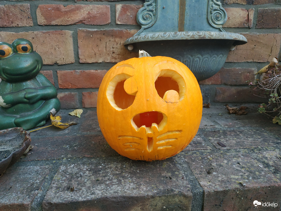 Tökfaragás a szép őszi időben