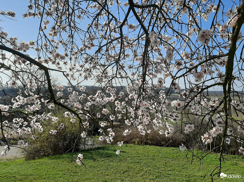 Kedvenc pihenőhelyem