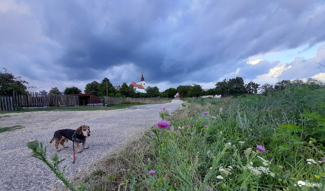 Futás, jön a vihar! 