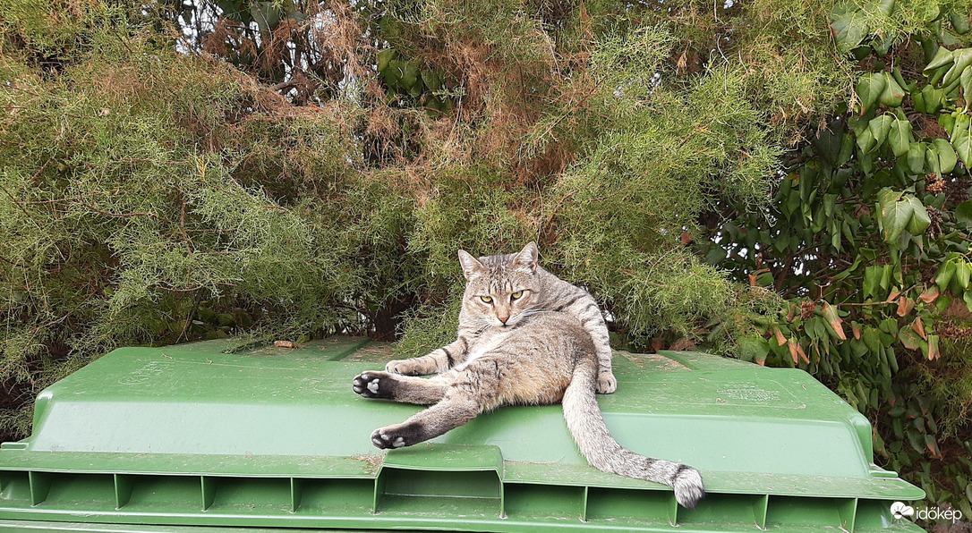 Keleti kényelem nyugaton