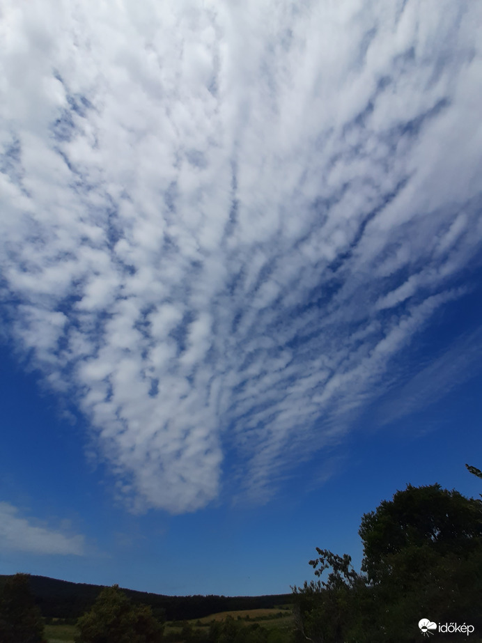 Egy simam egy fordított