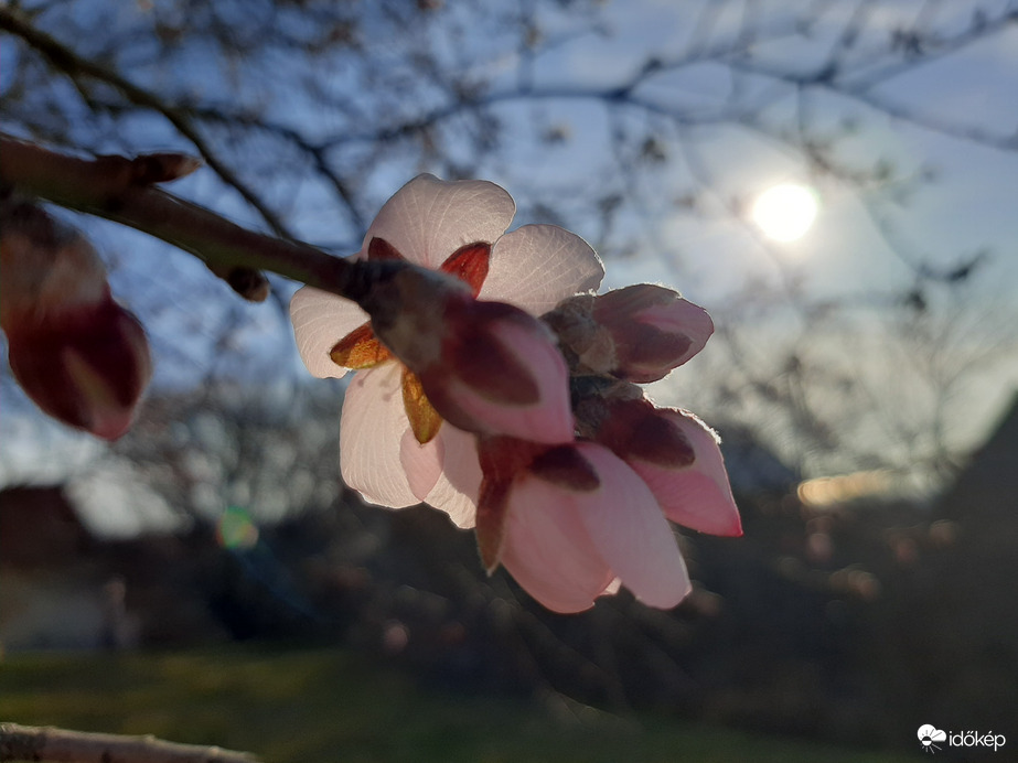 Szép tavaszi reggel