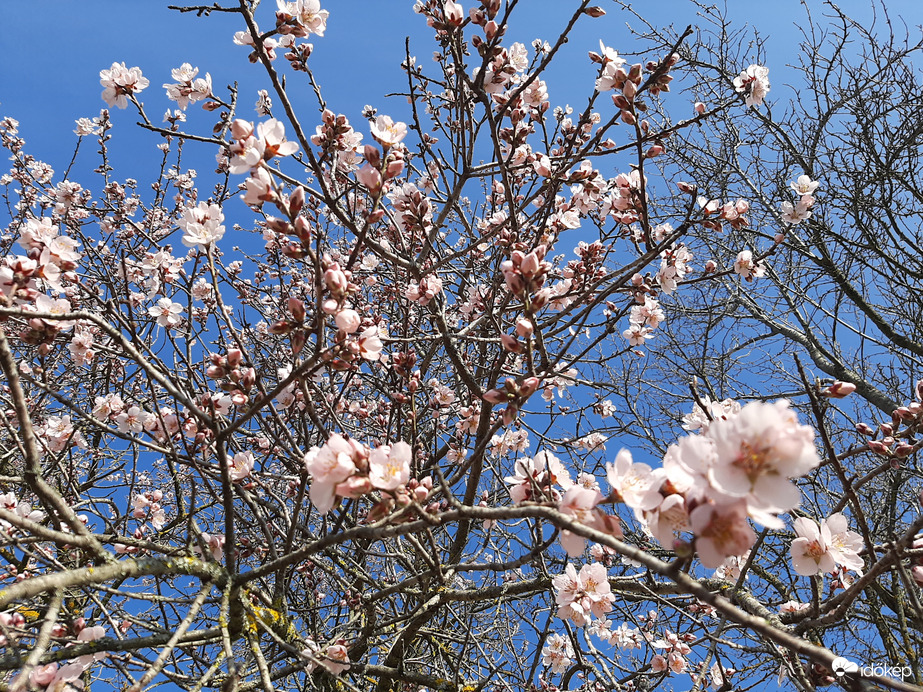 Ezzel nem tudok betelni