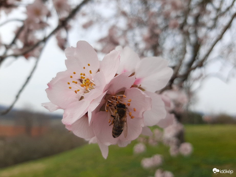 Dolgozzatok legények! 
