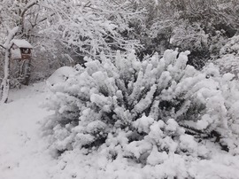 Holle anyó munkában