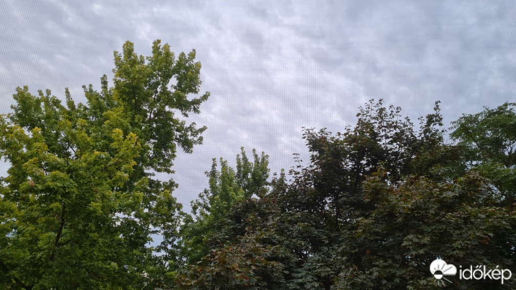 Hódmezővásárhely