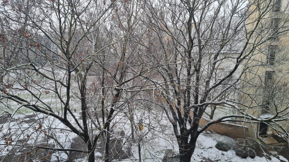 Hódmezővásárhely