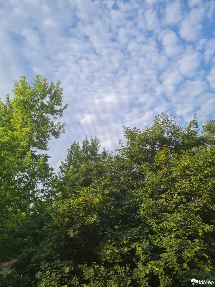 Hódmezővásárhely