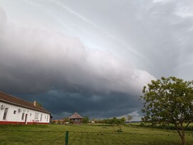 Tiszaszőlős