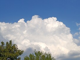 Tiszaszőlős