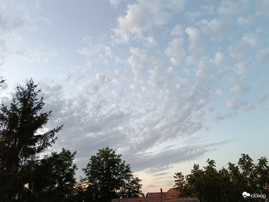 Tiszaszőlős