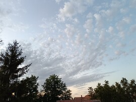 Tiszaszőlős